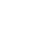 IT - web, app, solution
