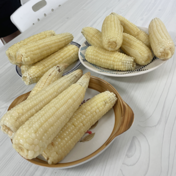 🌽옥수수 선물🌽