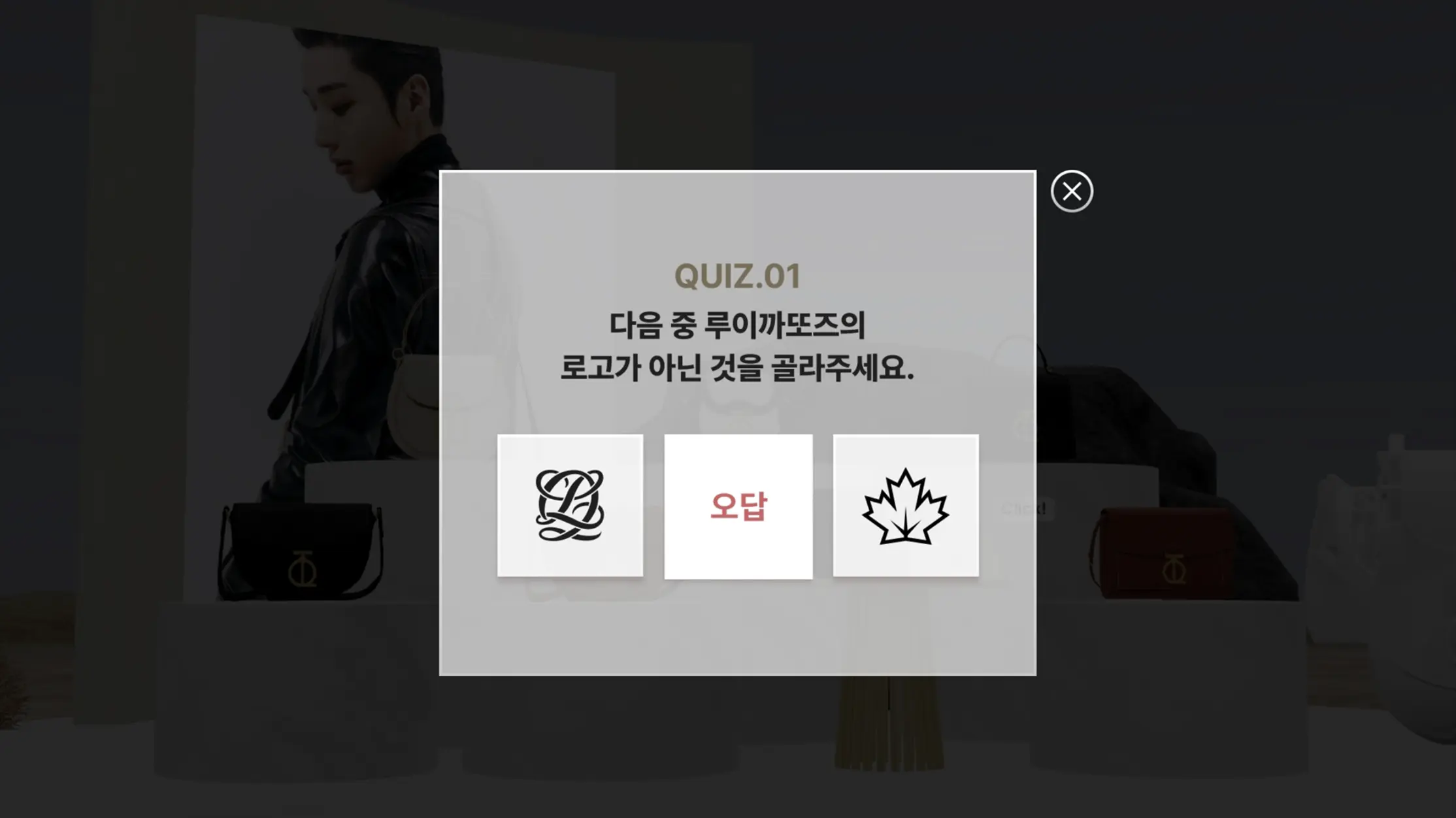 louis-quatorze_pc_07