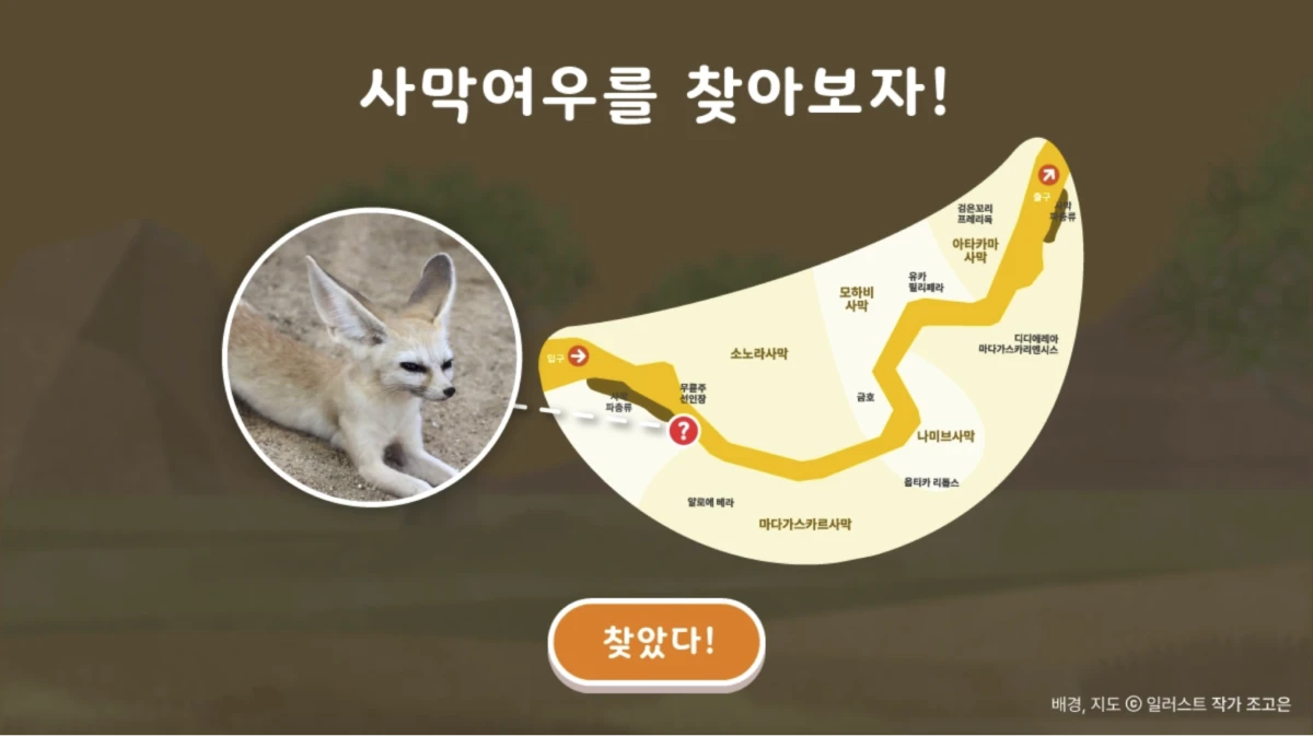 ecorium_renewal_pc_08_1x