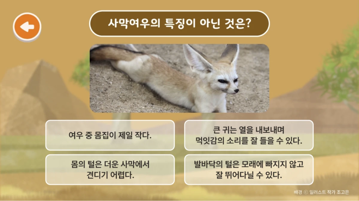 ecorium_renewal_pc_09_1x