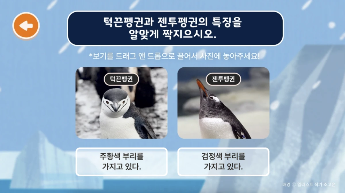 ecorium_renewal_pc_15_1x