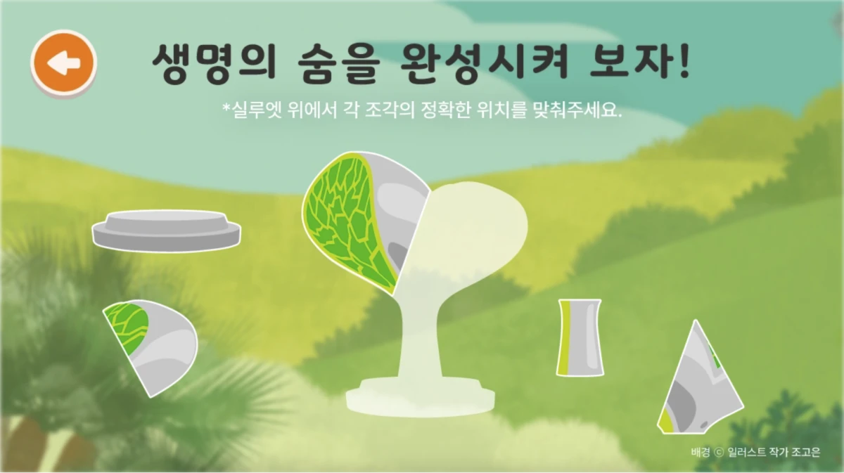 ecorium_renewal_pc_19_1x