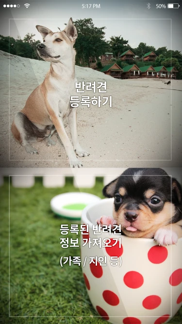 chajazoo_mb_02_1x