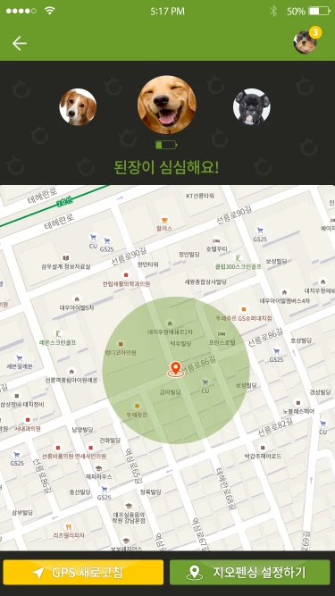 chajazoo_mb_07_1x